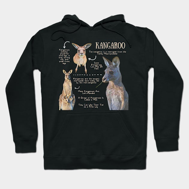 Animal Facts - Kangaroo Hoodie by Animal Facts and Trivias